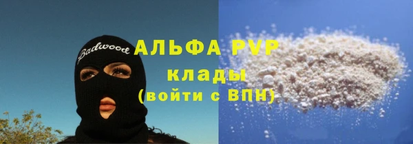 ECSTASY Богородицк