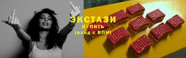 ECSTASY Богородицк